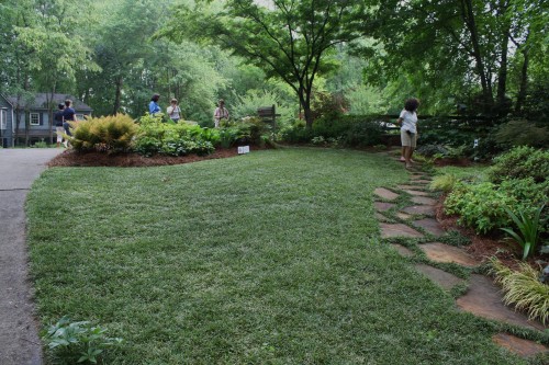 Lawns – Light Needed | Walter Reeves: The Georgia Gardener