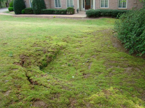 Sinkholes In The Landscape Walter Reeves The Georgia Gardener