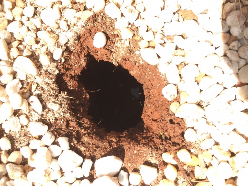 Hole In Ground – No Earth Piled Nearby 