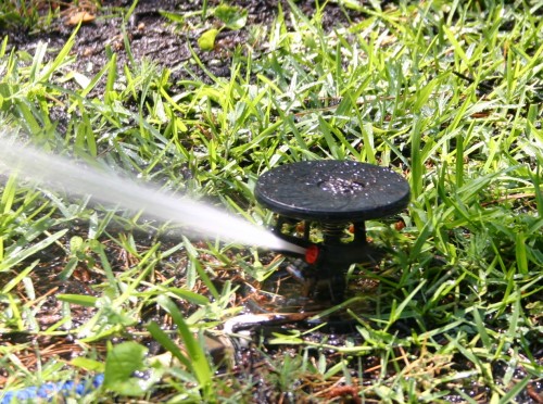 Lawn – Watering Correctly | Walter Reeves: The Georgia Gardener