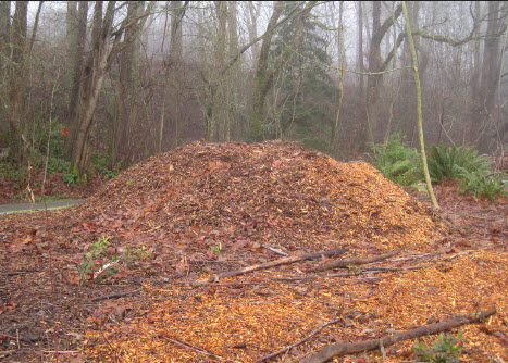 Wood Chips – Myths & Facts  Walter Reeves: The Georgia Gardener